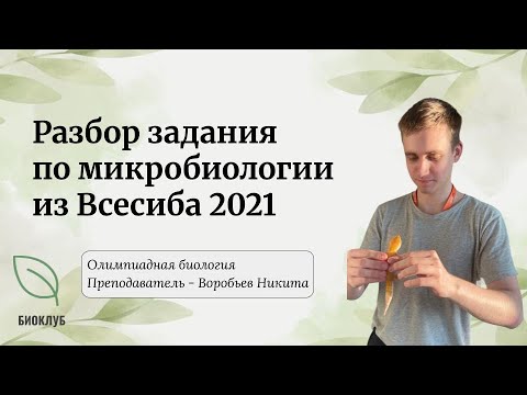 Видео: Разбор задания по микробиологии из Всесибирской олимпиады по биологии 2021 | экология бактерий