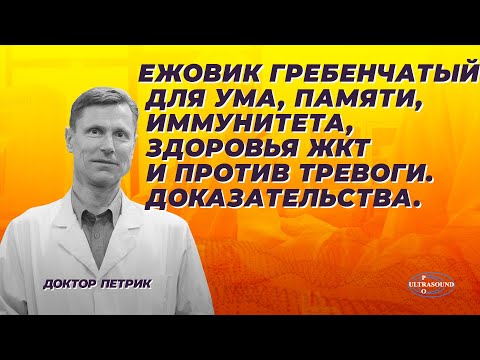Видео: Ежовик гребенчатый для ума, памяти, иммунитета, здоровья ЖКТ и против тревоги. Доказательства.