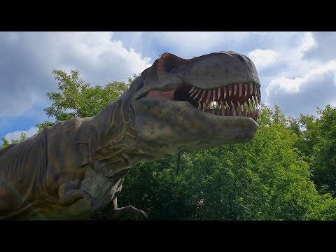 Видео: Динопарк - прогулки с динозаврами