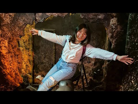 Видео: AriNomi Vlog | 30 цагт Amsterdam, Brussels-д юу хийж амжих вэ?