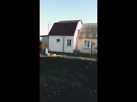 Видео: Побелка стен через год