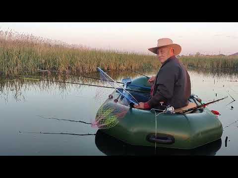 Видео: Красивая рыбалка после запрета . Капчагай . Алматы . Рыбалка . 31.05.2024 .