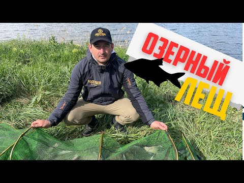 Видео: ЛОВЛЯ ЛЕЩА НА ОЗЕРЕ. РЫБАЛКА НА ДИКОМ ВОДОЕМЕ. ШИКАРНЫЙ УЛОВ И ОТЛИЧНЫЙ ОТДЫХ.