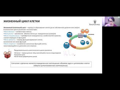 Видео: Лекция 13. Митоз.  Бесполое размножение