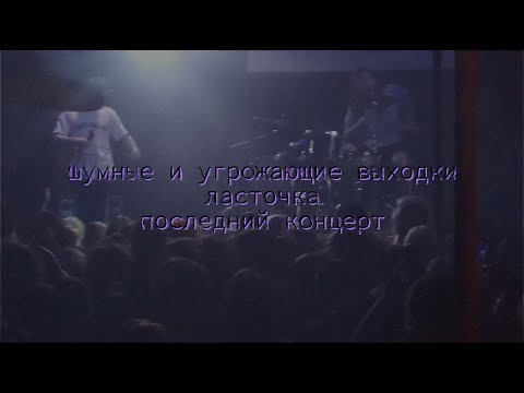 Видео: шумные и угрожающие выходки / ласточка / 01.06.24