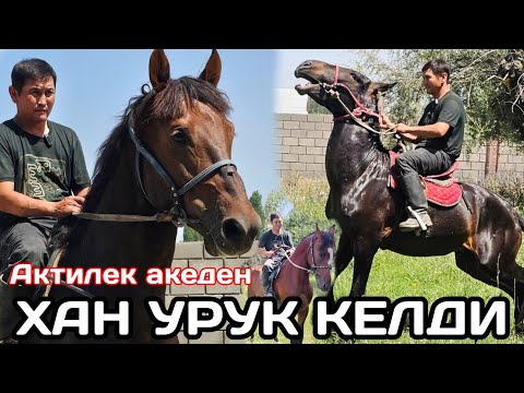 Видео: ХАН УРУК КЕЛДИ