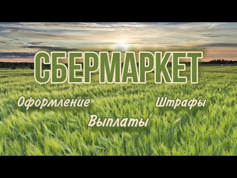 Видео: СБЕРМАРКЕТ 2024. Оформление. Выплаты. Штрафы. Купер.