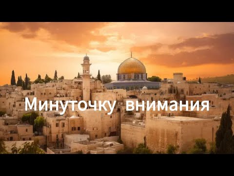 Видео: Работа в Израиле/ Развеем мифы о рабочих визах/ #трудоустрйство_легально