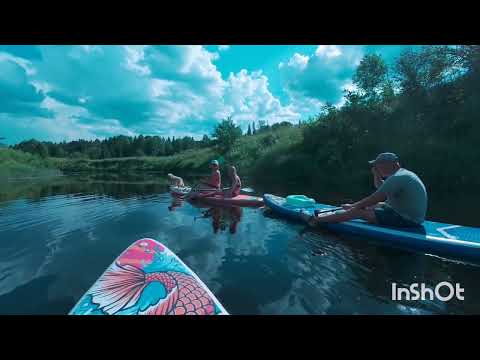 Видео: Вологодская деревня, продаётся дом за 100 тыс. ₽