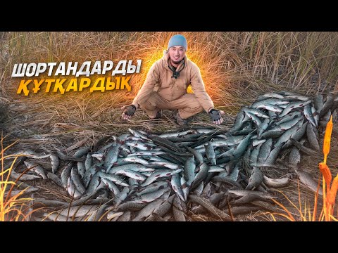 Видео: Бір, екі, үш!  ШОРТАН қармағыма түс! БАЛЫҚ ҰСТАУДАН ҚОЛ ТАЛДЫ🤦🏻‍♂️😱