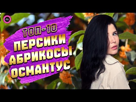 Видео: 🍑ТОП-10 АРОМАТОВ С ПЕРСИКОМ, АБРИКОСОМ И ОСМАНТУСОМ🍑