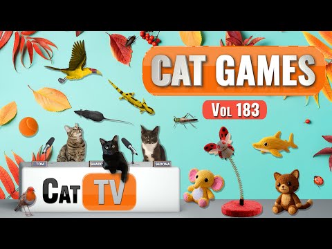 Видео: CAT Games | Ultimate Cat TV Compilation, том 183 | 8 ЧАСОВ 🐝🐞🦋🦎🦜🐜🐭🧵
