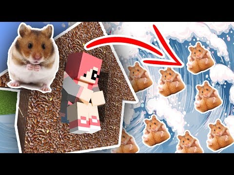 Видео: ЦУНАМИ ИЗ ХОМЯКОВ ПРОТИВ ДОМА ИЗ ЗЕРНА В МАЙНКРАФТ