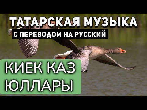 Видео: Татарские песни с переводом на русский I Киек каз юллары  I Артур Хасанов, Филюс Кагиров