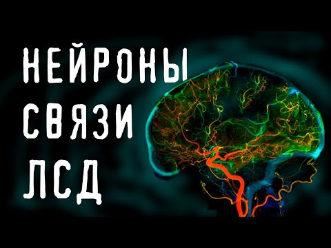 Видео: ПСИХОДЕЛИКИ ч.2 [Нейроны, рецепторы и мозг]