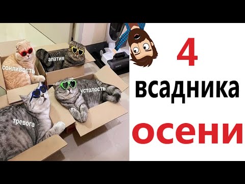 Видео: Приколы! 😱 МОЁ ОСЕННЕЕ СОСТОЯНИЕ! Смешные видео - Доми шоу!