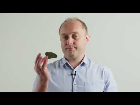 Видео: Скребок гуаша в прикладной кинезиологии | Григорий Крутов