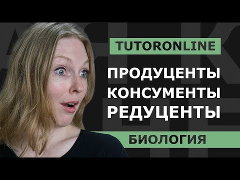 Видео: Биология | Продуценты, консументы, редуценты. Компоненты пищевой цепи.