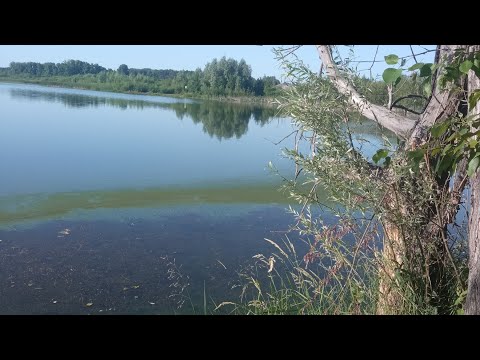 Видео: Очередная рыбалка на Озере 26.06.2024.Отвел душу.