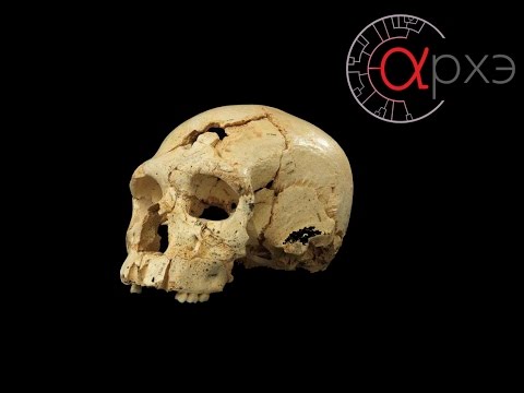 Видео: Станислав Дробышевский: "Палеоантропология: итоги 2015 года"