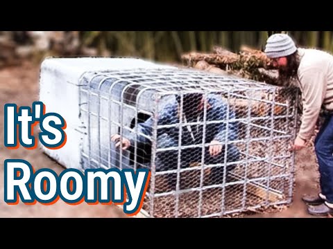 Видео: Самодельные куриные тракторы из контейнеров IBC