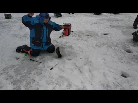 Видео: Поимки, сходы, обрывы. Спорт-зона. Клёвое место Лосиный остров.