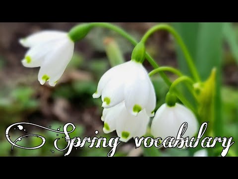 Видео: Spring vocabulary. Учим слова по теме "Весна" на английском языке #springvocabulary #spring