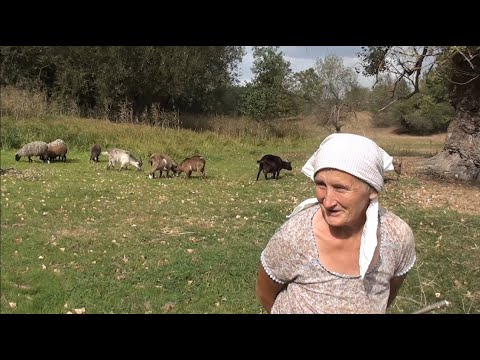 Видео: Останні справжні мешканці села.