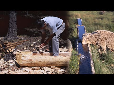 Видео: Гамеллоны для удержания воды. Производство сосновых бревен | Потерянные сделки |Документальный фильм