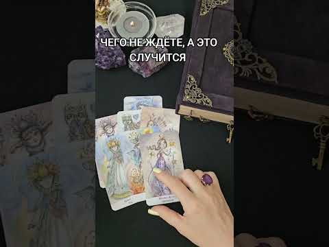 Видео: 🔥ООО АФЕРИСТ😲💯‼️🔥