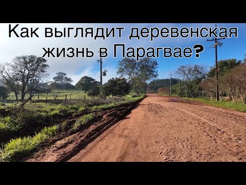 Видео: Как выглядит деревенская жизнь в Парагвае?