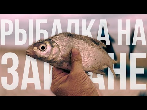 Видео: Рыбалка на Зайсане 3 часть