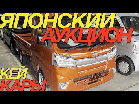 Видео: ШУШЛАЙКИ ПО КОНСКИМ ЦЕНАМ  / HONDA NBOX DAIHATSU CAST DAIHATSU TANTO SUBARU CHIFFON SUZUKI ALTO