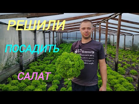 Видео: Продажа на рынке.Посадили салат. Запустил скважину в работу.