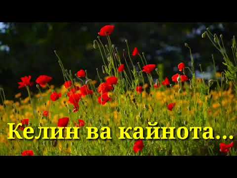 Видео: Келин ва кайнота... #ибратлихикоялар