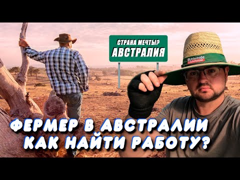 Видео: Как я нашел работу на ферме в Австралии? Опыт и советы