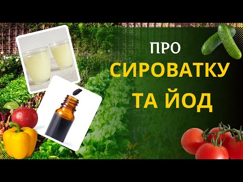 Видео: Сироватка та йод: як і коли працюють