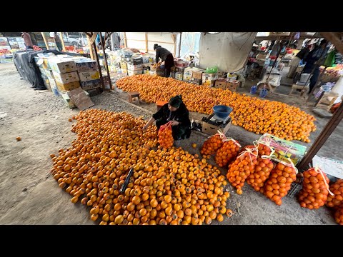 Видео: 18 ноября 2025 г. ТУРТКУЛЬ ДЕХҚОН БОЗОР НАРХЛАРИ