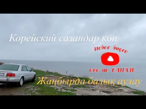 Видео: Жаңбырда САЗАН аулау / Корейский зор жер екен!