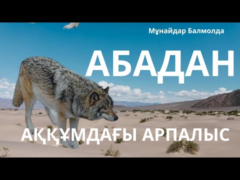 Видео: Абадан. Жүсіп аңшының аққұмдағы арпалысы.