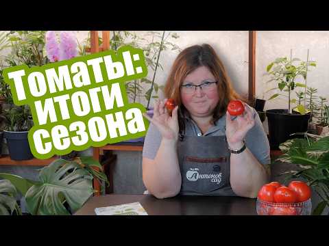 Видео: Томаты для закрытого и открытого грунта: наши результаты. Томаты Мязиной
