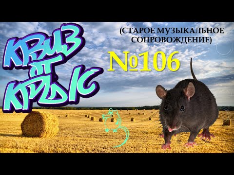 Видео: КВИЗ от КРЫС эпизод 106 (старое музыкальное сопровождение)
