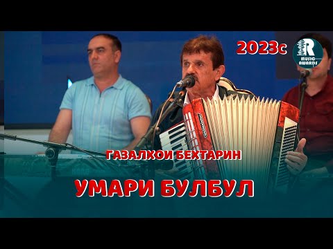 Видео: Умари Булбул Газал 6 2023с Umari Bul-Bul 2023с