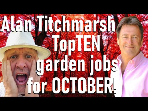Видео: Алан Титчмарш представил список лучших работ в саду за октябрь. Я был в шоке!