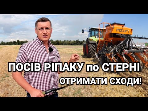 Видео: Посев и всходы рапса по технологии будущего. Mzuri Pro-Till сеет за один проход!
