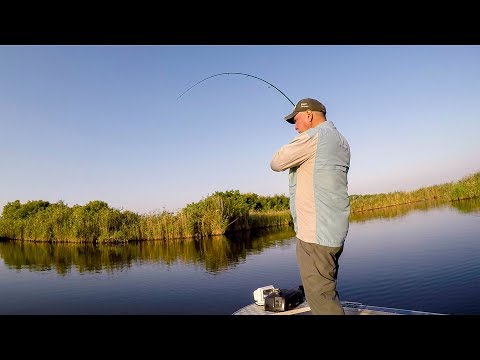 Видео: РЫБАЛКА В СЕНТЯБРЕ НА ХИЩНИКА НА НОВУЮ ПРИМАНКУ! УПЕРСЯ В САЗАНА. СЛОМАЛ СПИННИНГ!