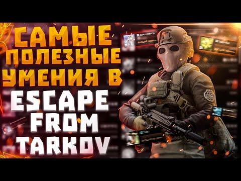Видео: ESCAPE FROM TARKOV | ЭЛИТНЫЕ УМЕНИЯ И КАК ИХ ВЫКАЧИВАТЬ