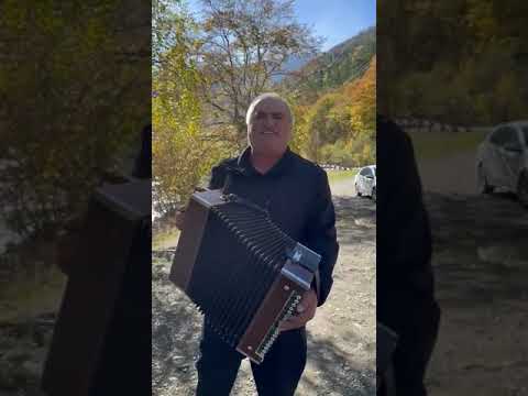 Видео: Даргинская песня ❤️👏🏻