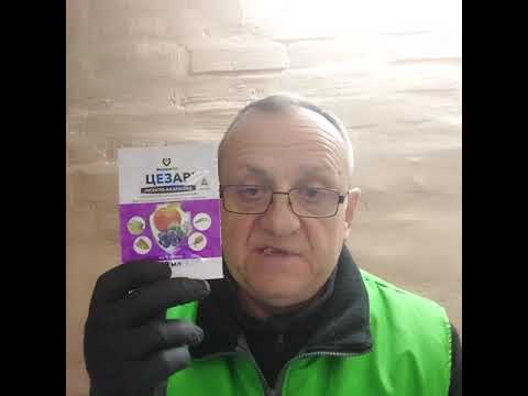 Видео: Практика з діагностики і лікування рослин!Боротьба з щитівками,кліщами!!!