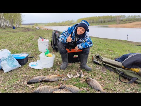 Видео: Охота за весенним карпом.